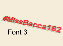 Load image into Gallery viewer, Leaderboard Names